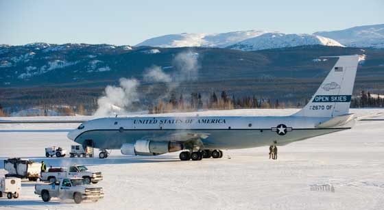 Whitehorse Daily Star Rare Winged Visitor
