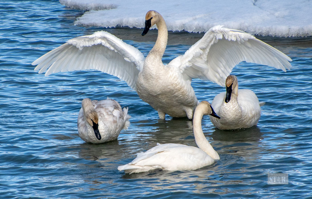 WONDERS ON WATER