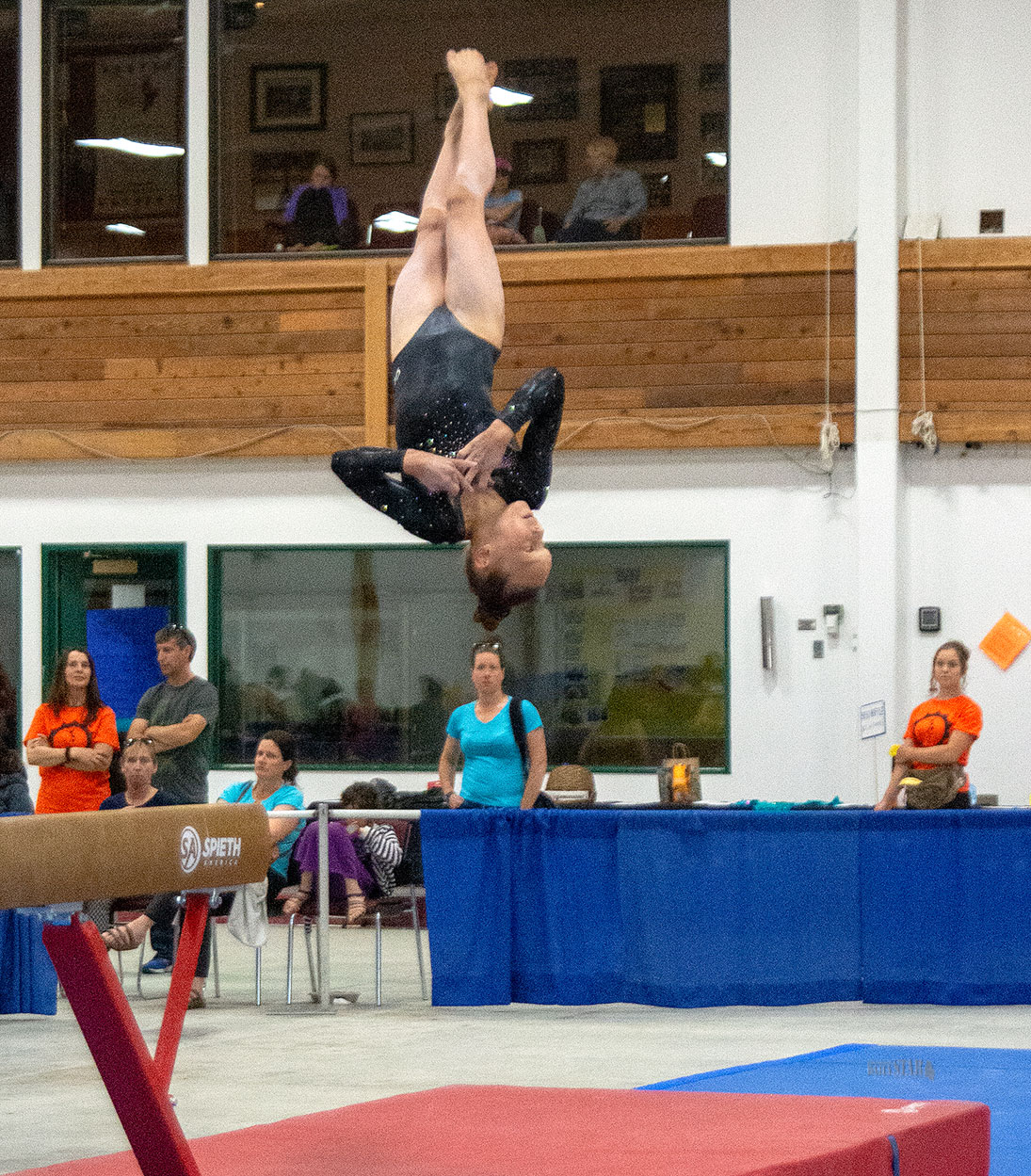 Whitehorse Daily Star Olympian gymnasts provided inspiration