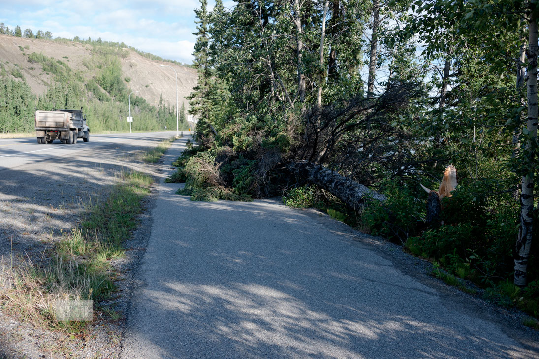 Whitehorse Daily Star Storm Cuts Power To Thousands Of Residents