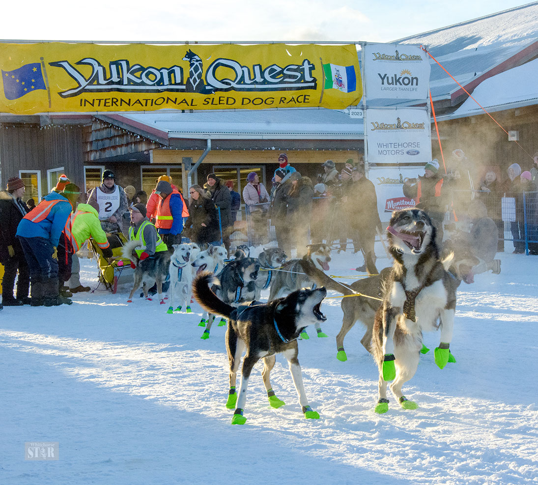 Yukon Quest 2024 Whitehorse Ricca Kathye