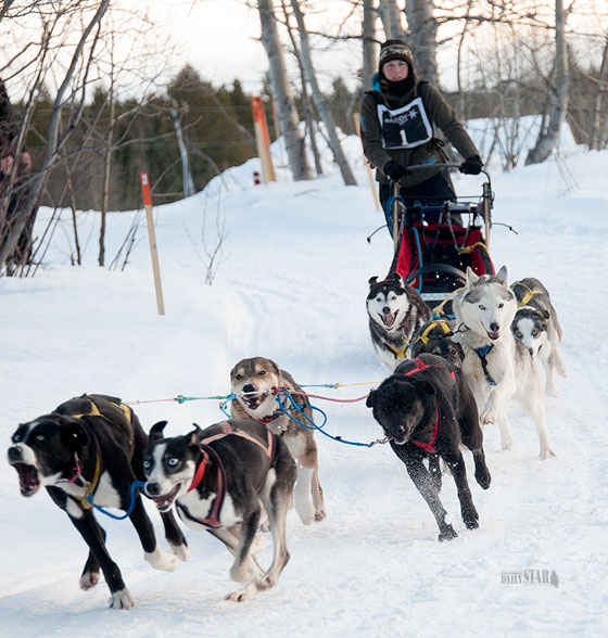 Whitehorse Daily Star: Yukon mushing series off to hot start