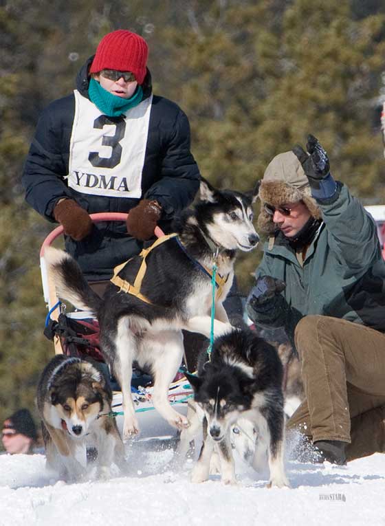 Whitehorse Daily Star New champion crowned in Copper Haul Twister dog
